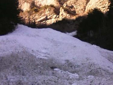 vue inclinÃ©e de l&apos;avalanche sur la route forestiÃ¨re