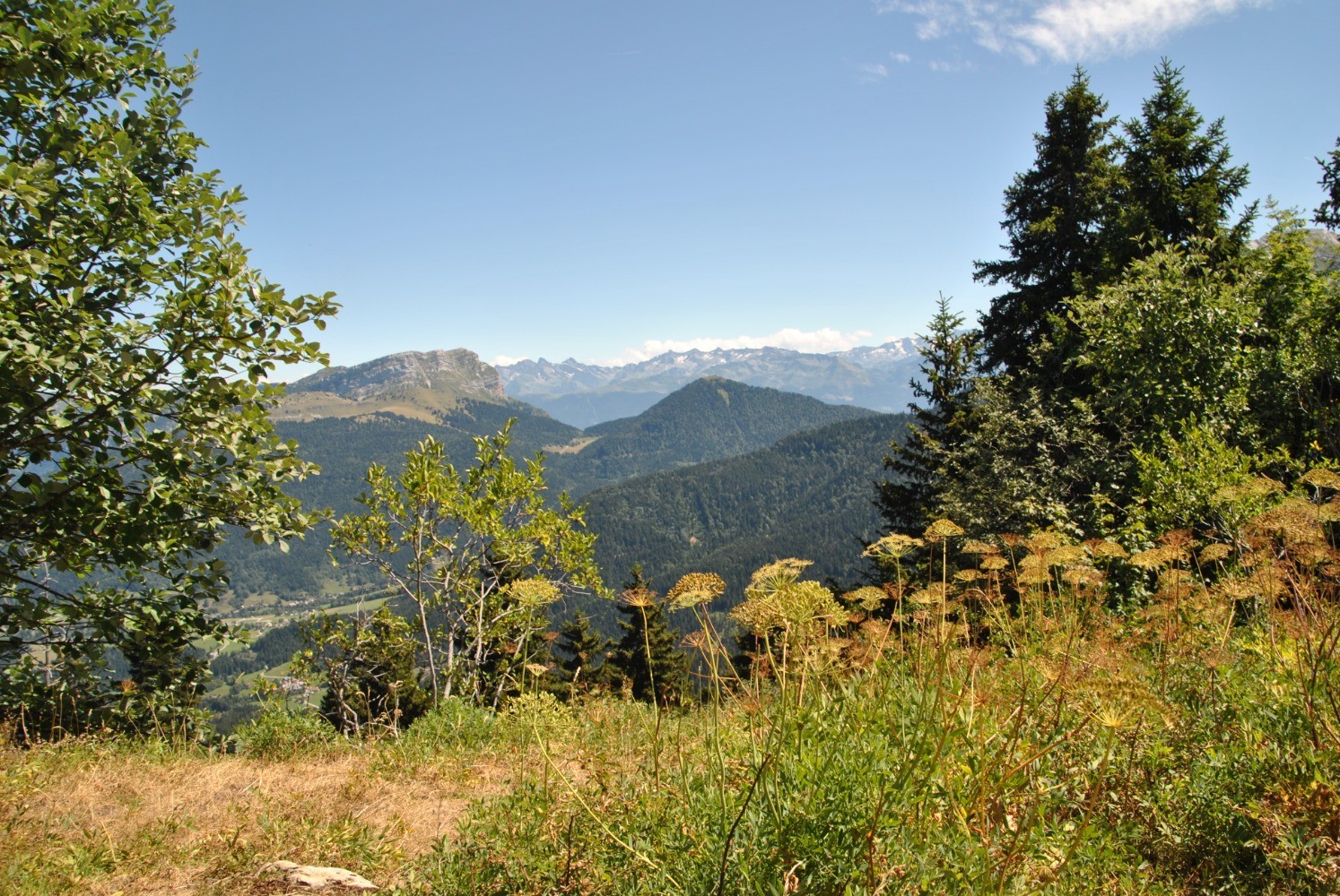 Vue sur Belledonne