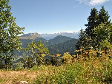 Vue sur Belledonne