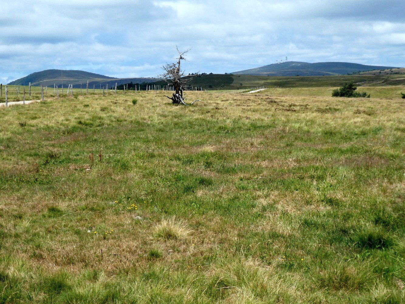 Vue sur Pierre-sur-Haute