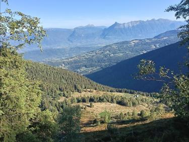 Vue sur la vallée des huiles 