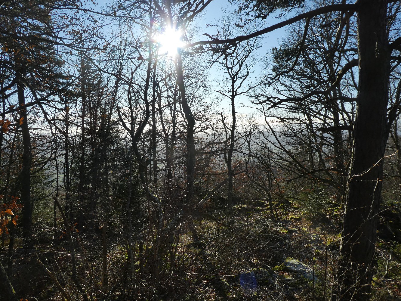 "Vue" vers l'Ouest depuis le sommet du suc