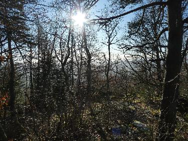 "Vue" vers l&apos;Ouest depuis le sommet du suc