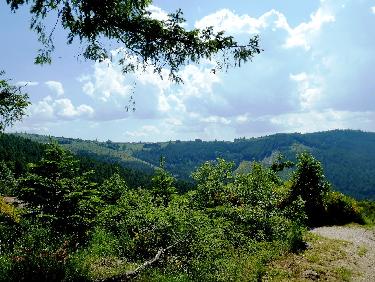 Vue vers le Bessat depuis le Rot
