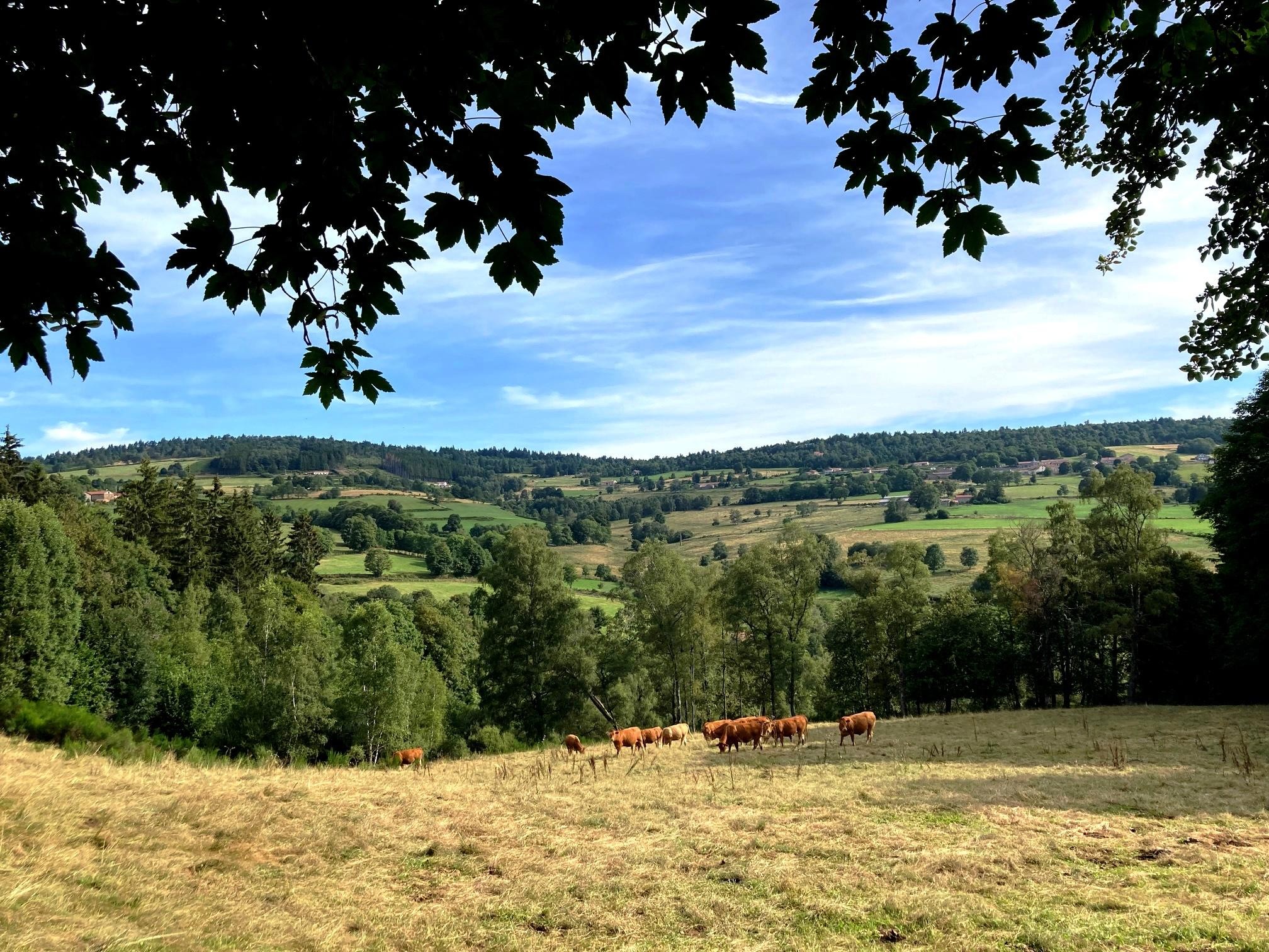 Vue arrière peu après le départ