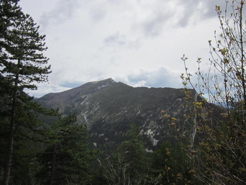 vue sur la Grésière