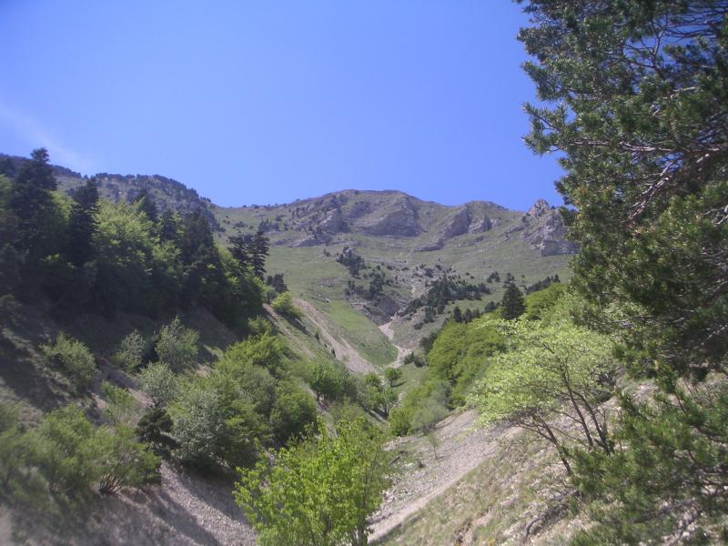 vue sur le versant sud