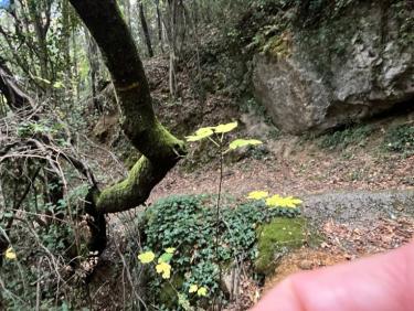 À la bonne heure! pour récupérer