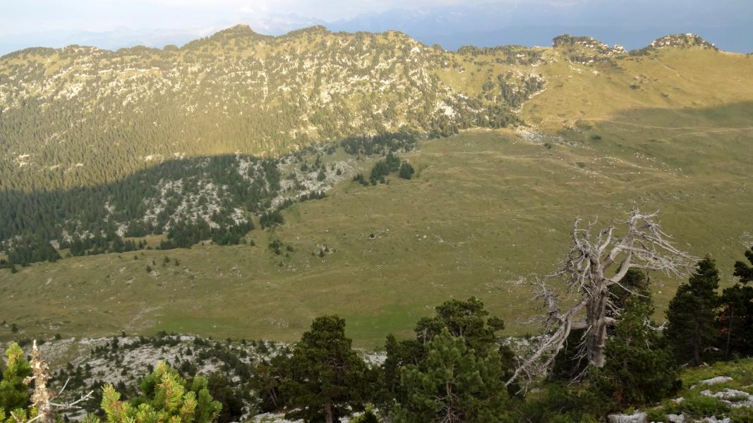 Vallon de Marcieu depuis cote 1892