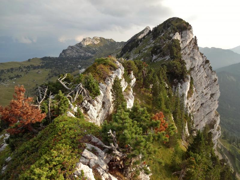 Vue vers le Sud (sommet 1931 vu de la cote 1892)
