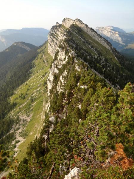 Crête près de la cote 1892 : vue vers le Nord