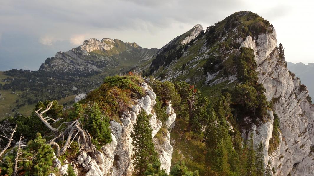 Vue vers le Sud (sommet 1931 vu de la cote 1892)