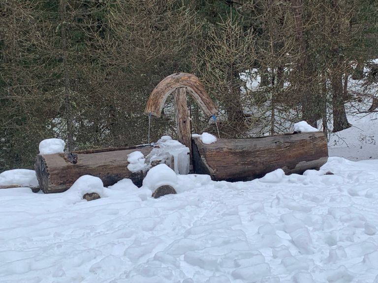 Ski de randonnée avec Théo dans le dos