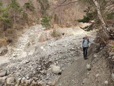 Walk on the wild side