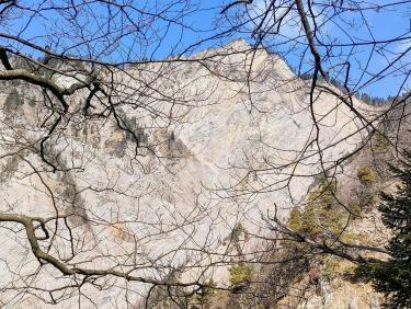 Walk on the wild side