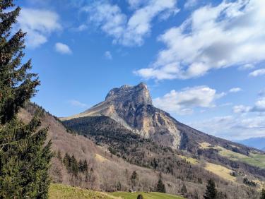 Walk on the wild side