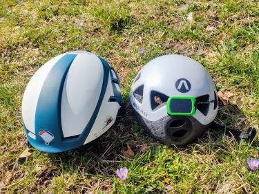 Walk on the wild side