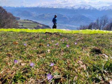 Walk on the wild side