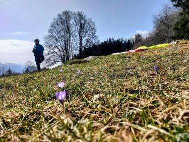 Walk on the wild side