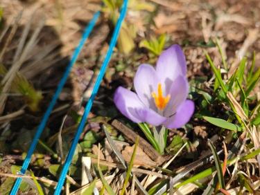 Walk on the wild side