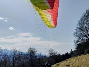 Walk on the wild side