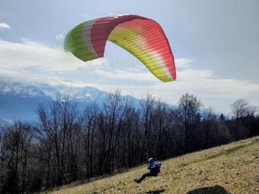 Walk on the wild side