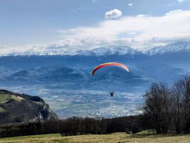 Walk on the wild side