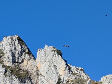 Whizz3 deuxième 