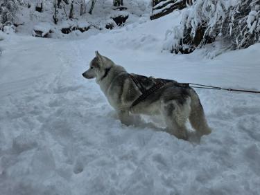 SKIMO 1: Cerro depuis le chalet pour le fun