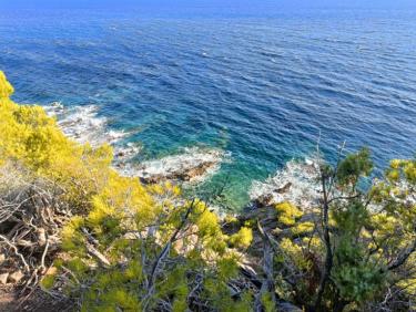 🇺🇦 Petit trail cailloux, rocher varois