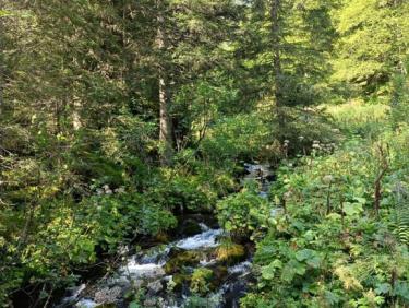 🇺🇦 Randonnée lac de Crop