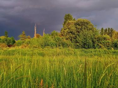 🤪 Côtes - 10x1&apos;30 😜