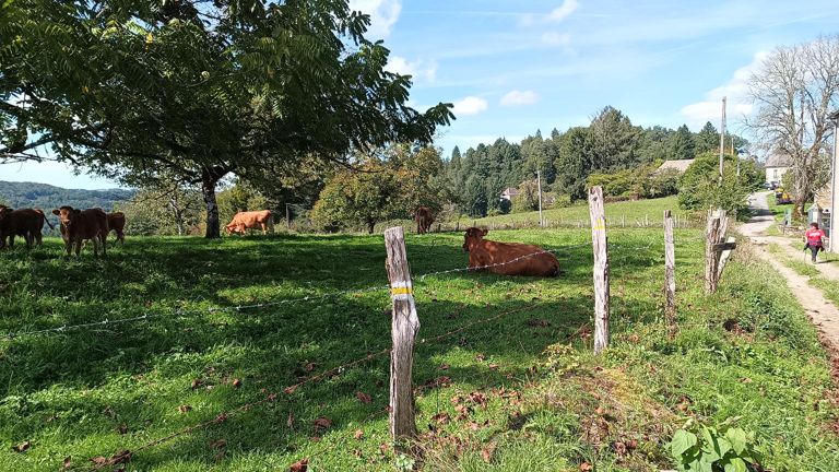 Randonnée dans le cadre du Xtrail Corrèze Dordogne