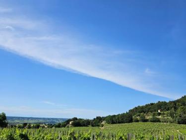 Marche dans Gigondas