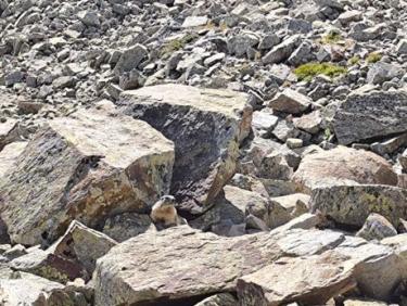 GR10. Refuge de Rulh à Merens