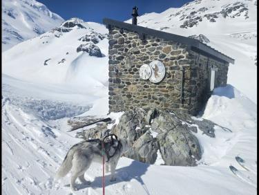 SKIMO 16: Grand St Bernard par grand beau