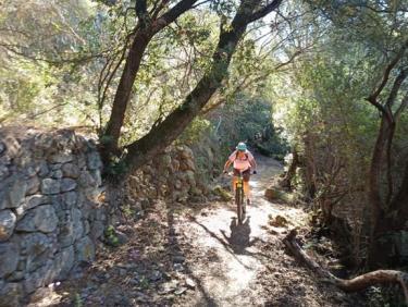 Boucle Olmeto chemin centenaire magnifique mais bien  cassant