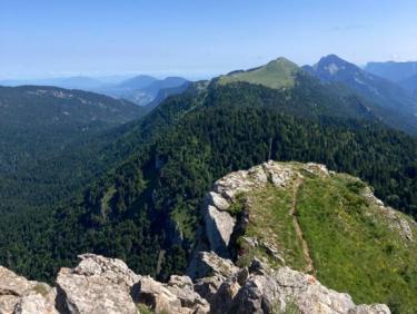 La Pinea par Vermorel