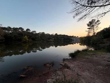 Balade en fin d’après-midi avec Thalie 🐕