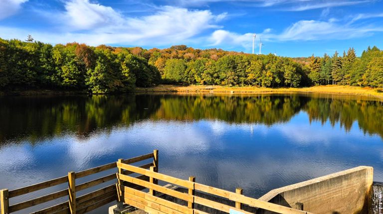 Promenade du dimanche 🍂🍁🤍