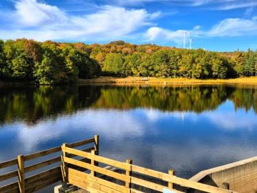 Promenade du dimanche 🍂🍁🤍