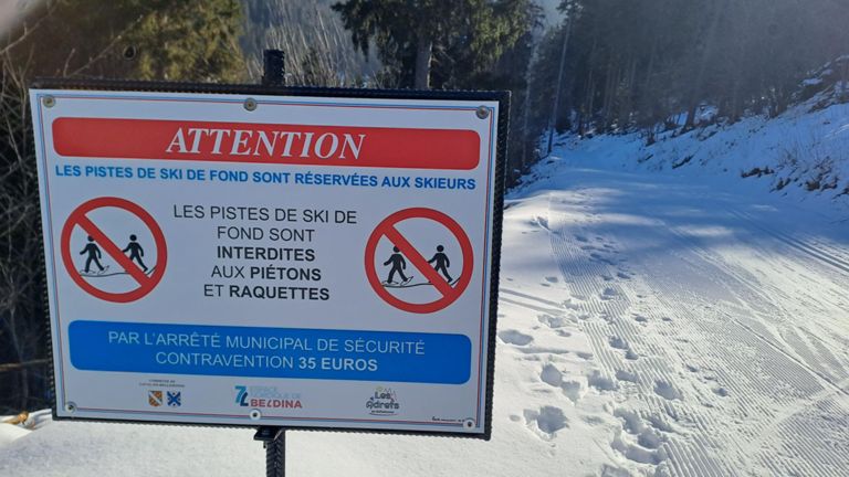 Skating mode hamster