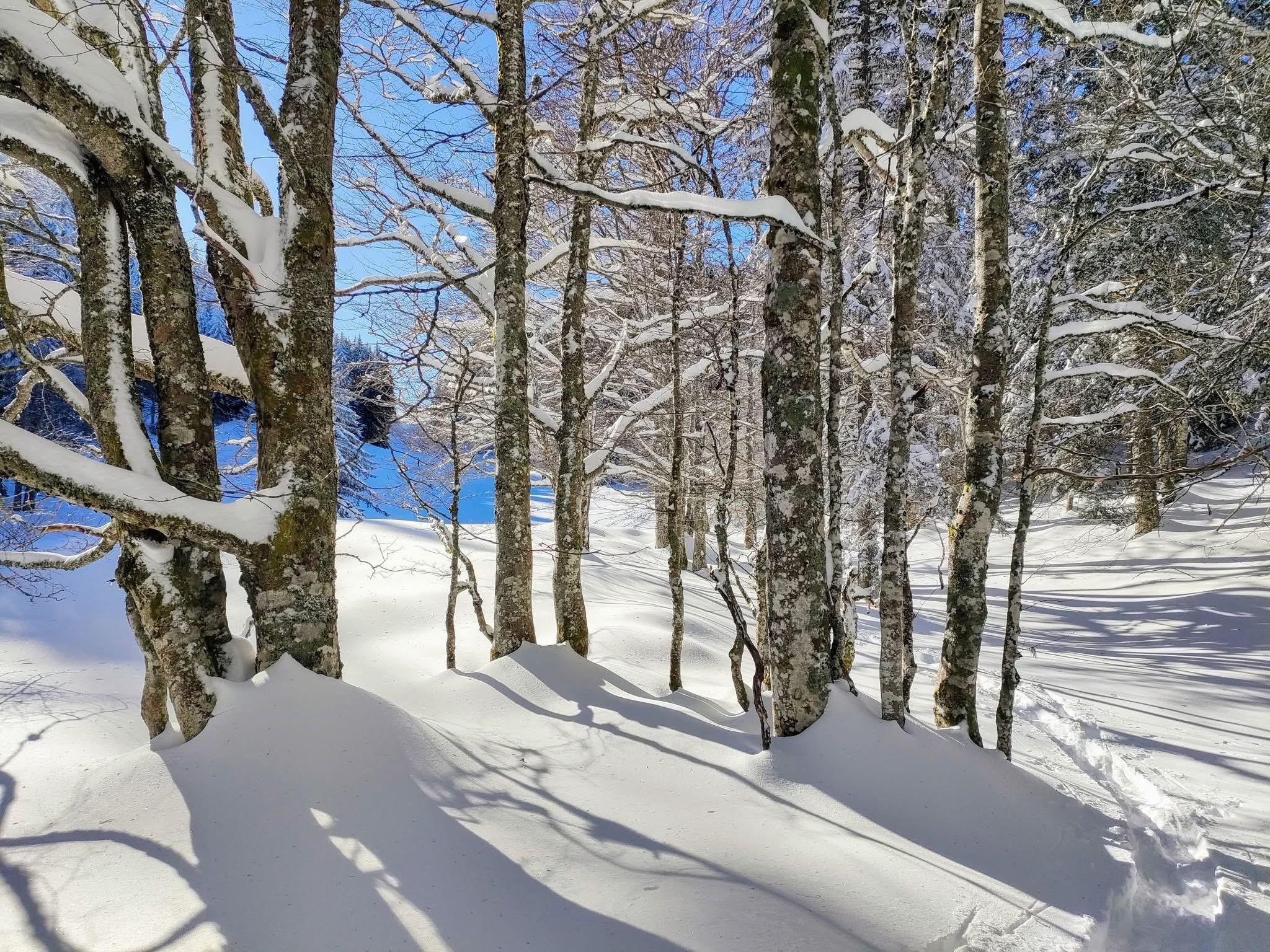 La zone de silence