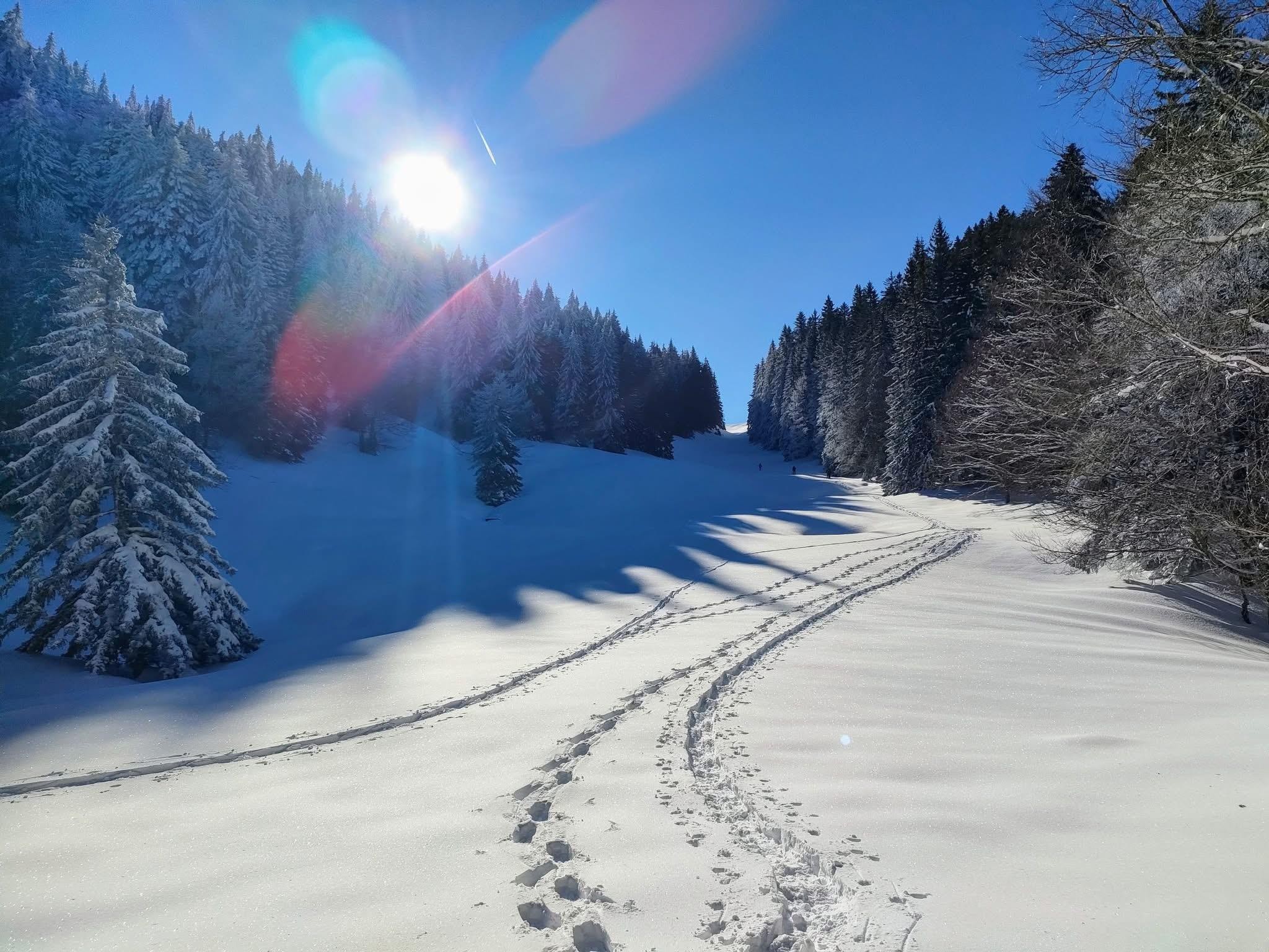 La zone de silence