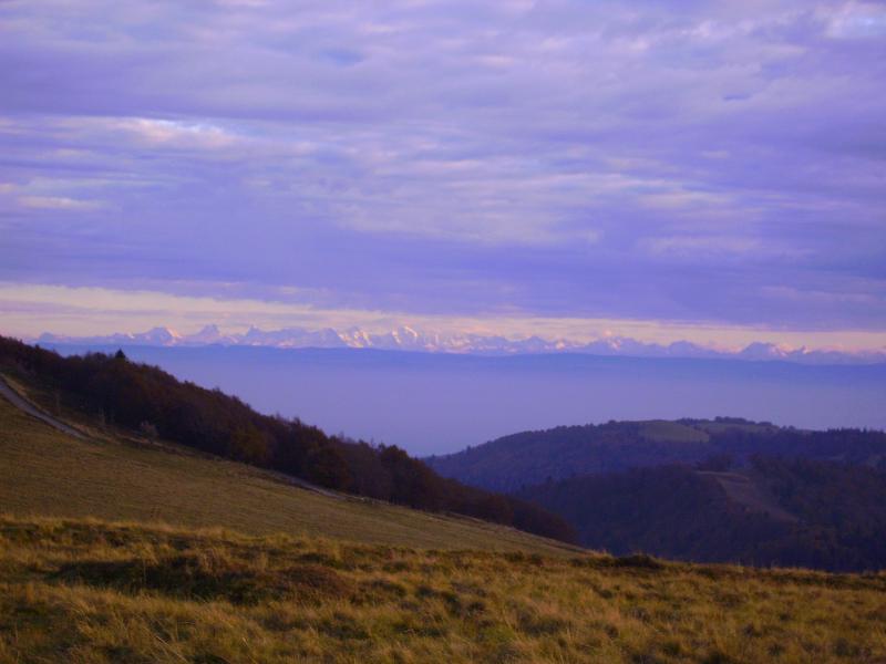 zoom sur les alpes suisses