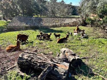 Randonnée autour de la Réserve de Perthus